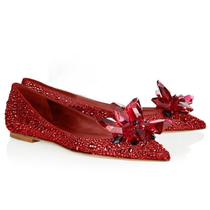 Cinderella brida flat shoes